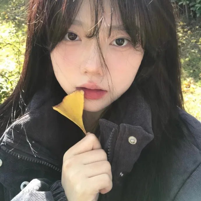 在森林的那边