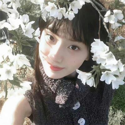 烟雨神游记