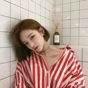 豆豆猫