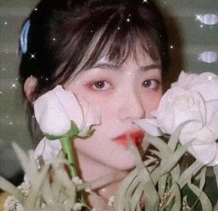 十二罗汉